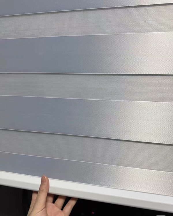 Zebra Blind - Image 4